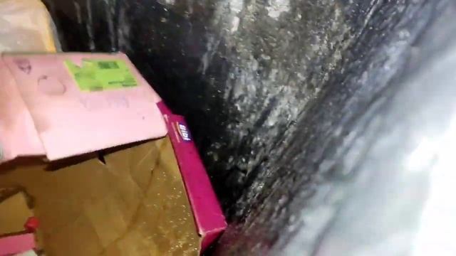 Нашëл дедушкин клад на помойке! #dumpsterdiving #конкурент #помойки