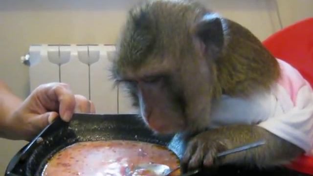 Борщец смотреть онлайн