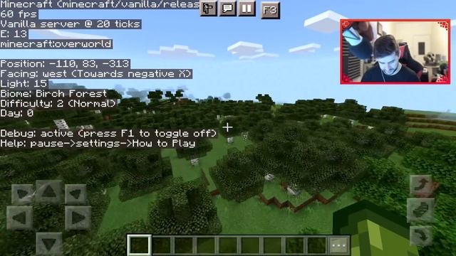 WORKING F3 Debug Screen For Minecraft Bedrock смотреть онлайн