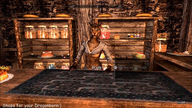 Shopping for your Dragonborn:) - Skyrim Shop Mods смотреть онлайн