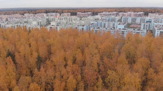 Сертолово смотреть онлайн