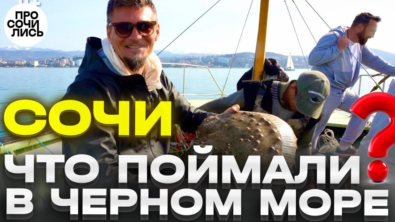 Рыбалка в Сочи ➤какая рыба в Черном море ➤как и когда можно поймать камбалу в Сочи Просочились