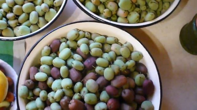 Актинидия БОЛЬШОЙ УРОЖАЙ не знаете ЧТО ДЕЛАТЬ !!!? смотреть онлайн