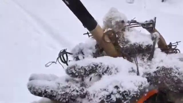 Закрытие пушного промысла 2022г. смотреть онлайн