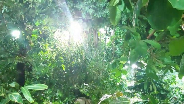 Приморский океанариум Владивосток смотреть онлайн