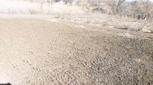 Весенняя обработка сада. Препарат  30 В.