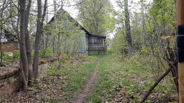 ВЛАДИМИР ПРОРОЧИТ ИСТИНУ!!! смотреть онлайн