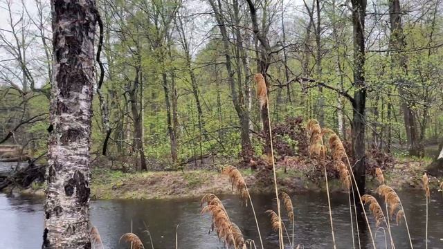 Suzuki Jimny весной на бездорожье