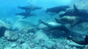 МОРЯ И ОКЕАНЫ ПЛАНЕТЫ ЗЕМЛЯ