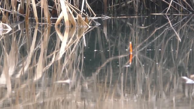 Рыбалка на поплавок в январе. My fishing смотреть онлайн