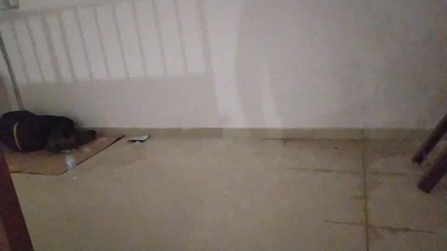 в нашем доме поселился " замечательный" сосед) смотреть онлайн