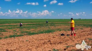 Обработка полей