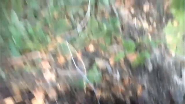 Explosion Of Mixture: Ammonium Nitrate - Hexamethylenetetramine (blasting Of Beaver Dam)