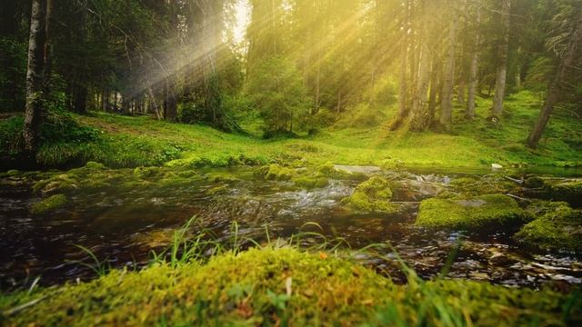 Beautiful Calming Music With Wind Chimes And Nature Sounds - The Temple Gardens 2