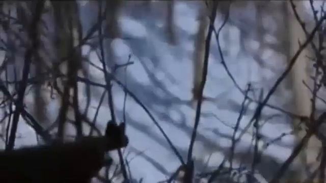 Кено узбек тилида Буюк юлбарс смотреть онлайн