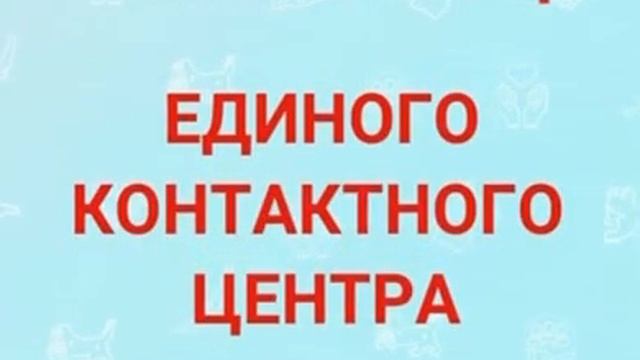 телефон cull центр смотреть онлайн