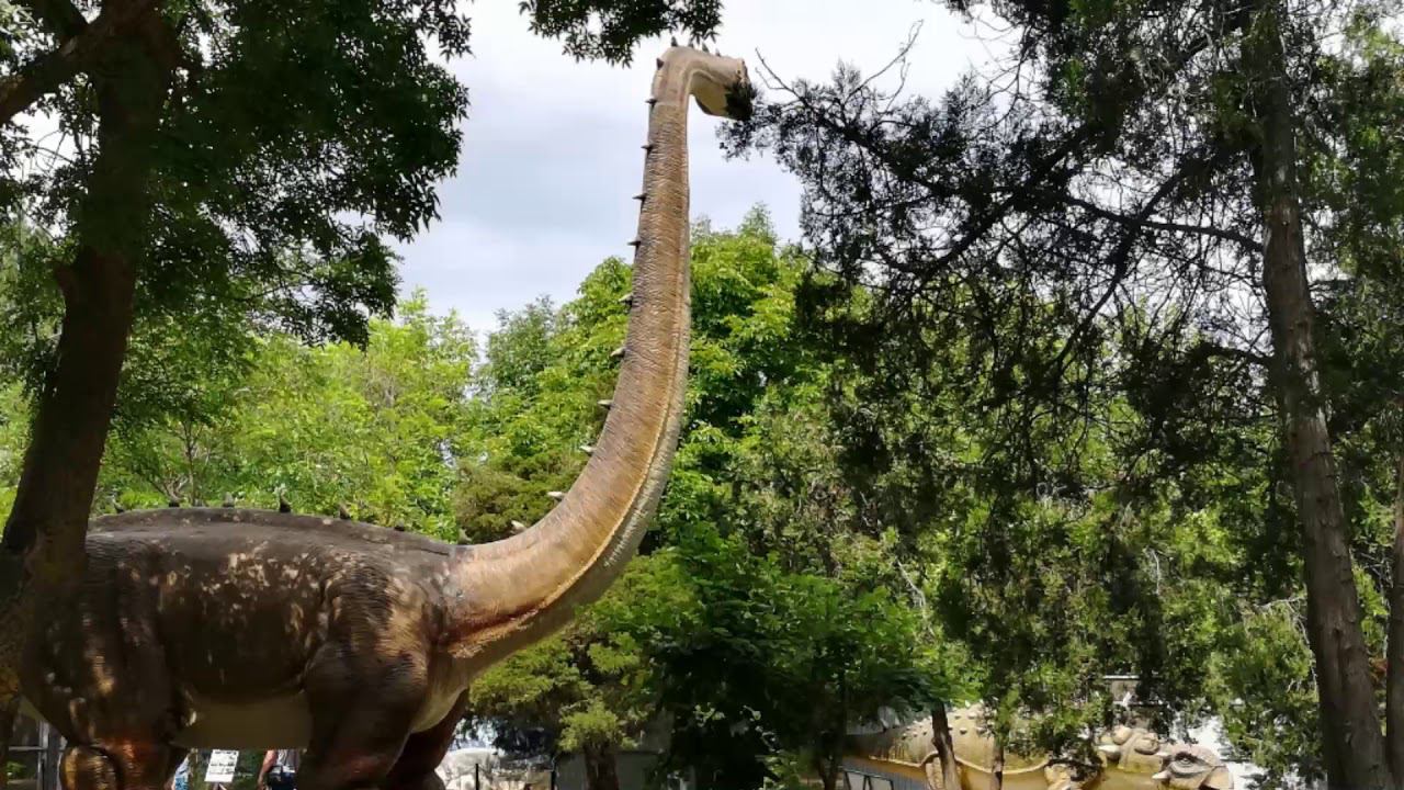 Парк динозавров июль_2019