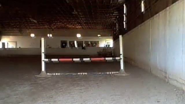 The Pigeon Jump смотреть онлайн