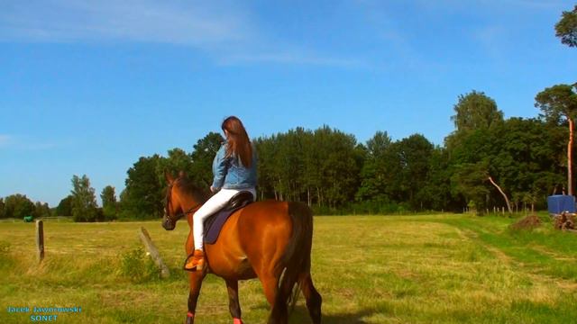 Julka Julia Juleczka JACEK JAWOROWSKI SONET смотреть онлайн