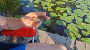 отдых с палаткой на озере Юхро