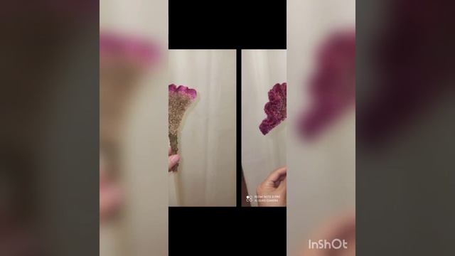 Целозия гребенчатая. Коралловый сад. Сухоцвет. смотреть онлайн