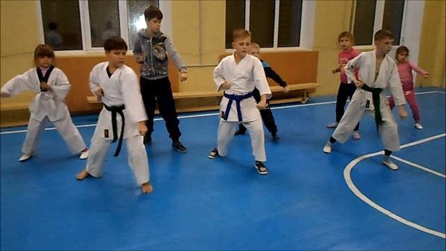 каратэ тренировки 7-12.11.2016 смотреть онлайн