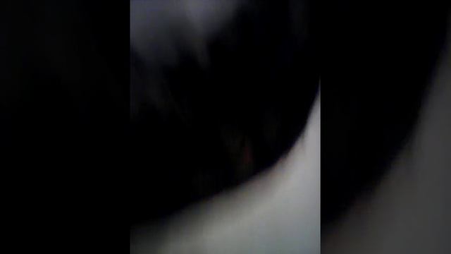 Кошка в ванне смотреть онлайн