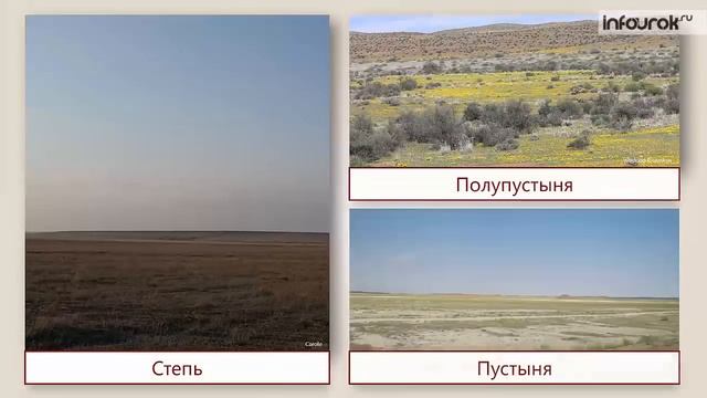 Климатические пояса Земли | Окружающий мир 3 класс #4 | Инфоурок смотреть онлайн