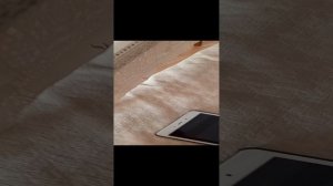 что камера отключилась, потому что я не отключала, отключился заряд 😭😔🥺