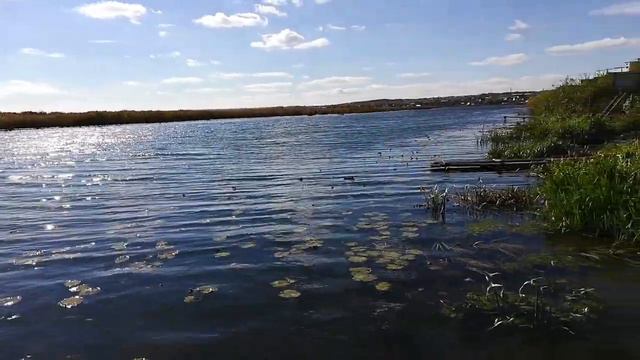 Река Дема смотреть онлайн