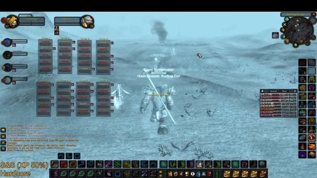 Turtle wow - 40man MC & BWL смотреть онлайн