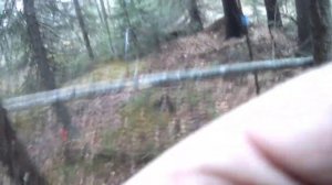 Петли на рябчика.