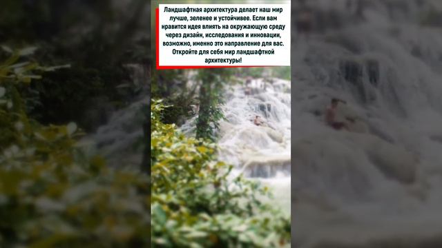 #сад #ландшафт #природа #искусство #алтай #АГУ смотреть онлайн