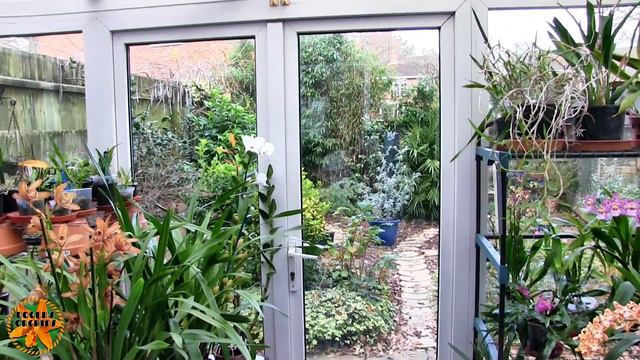 Viewers Requested Videos - No. 5 (29th November 2023) смотреть онлайн