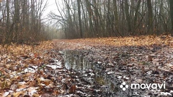 HAMMER 200lux Лучшый бюджетный квадроцикл!