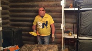 Породы перепелов. А какая лучше?