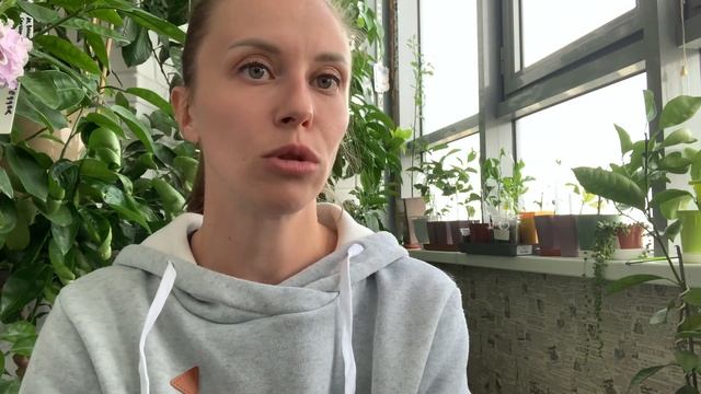 Удобрения для цитрусов | нюансы подкормки | чем и когда я подкармливаю свои растения смотреть онлайн