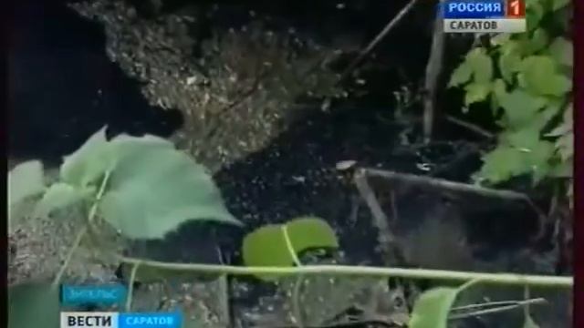 Озеро Банное превратилось в хранилище сточных вод смотреть онлайн