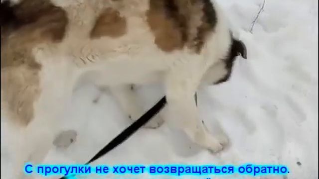 Тимофей в МП г.Перми