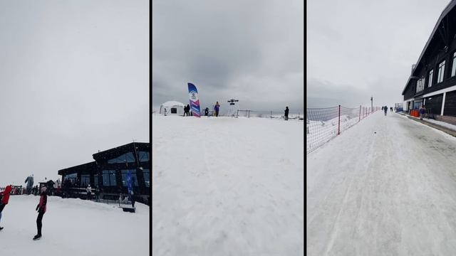 РОЗА ПИК! 2320