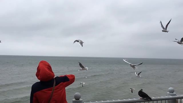 Побережье Балтийского моря смотреть онлайн