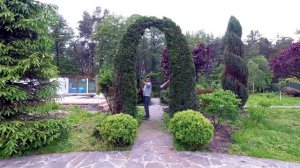 Арка из туи Смарагд