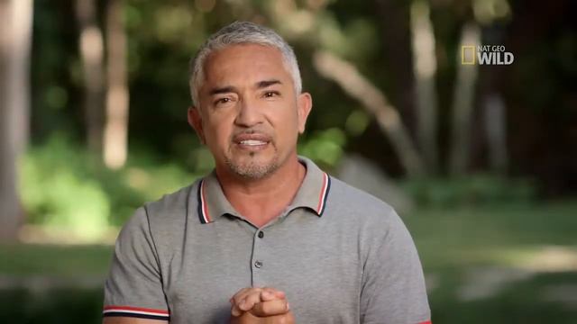 Cesar 911 Episode 8 Exclusive: Awareness смотреть онлайн