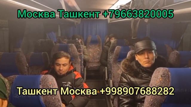 Владимир Ташкент автобус Россия Узбекистан прямой рейс автобус смотреть онлайн