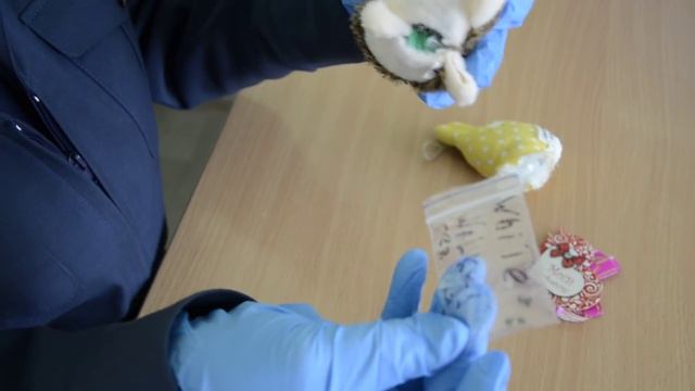 Внутри плюшевых ежика и зайца минские таможенники обнаружили коноплю смотреть онлайн
