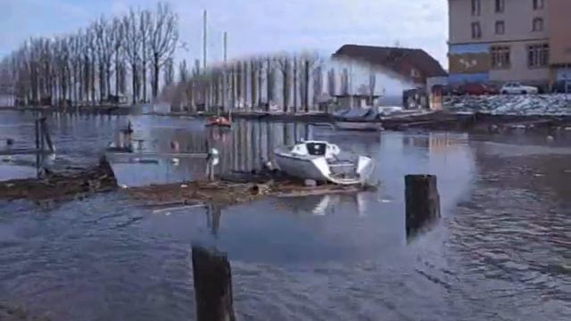 Phoenix Alfeo Yverdon 21 01 2009 смотреть онлайн