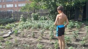 Ссыт не по детски!)