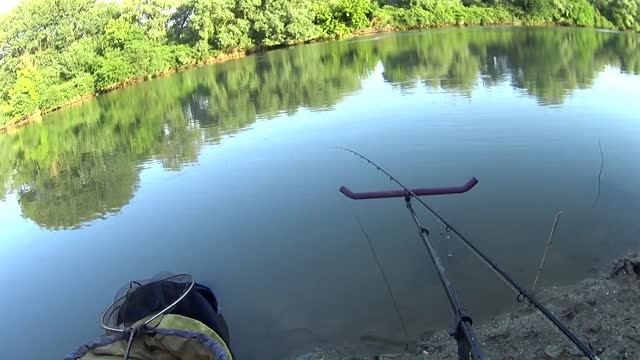 Большой улов на реке. РЫБАЛКА на фидер на РЕКЕ с течением. Как ловить фидером на течении? смотреть онлайн