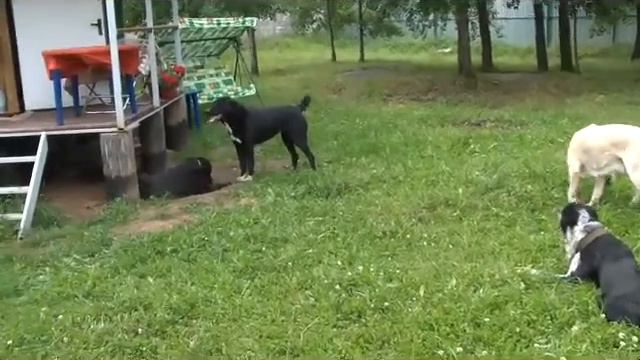 Из_дома_Бикуль