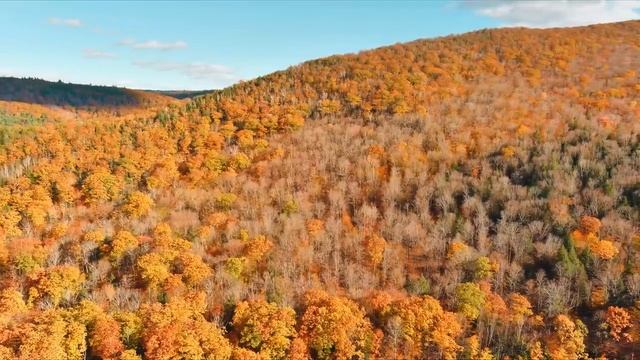 Incredible Fall Foliage Of New England From Above In 8K - Autumn Ambient Drone Film (2021)